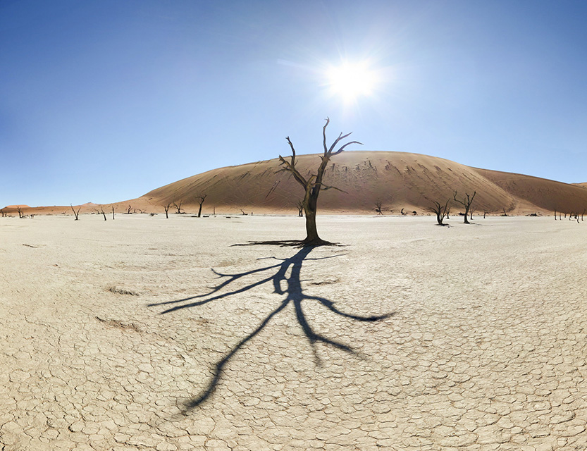 ερημοποίηση και ξηρασία