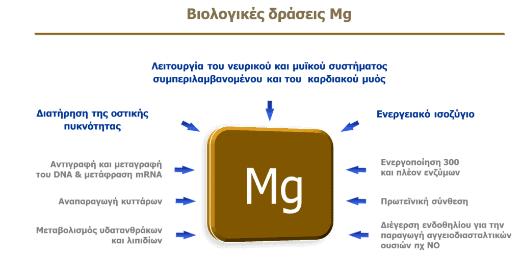 μαγνήσιο magnesium
