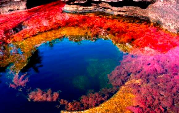 το πιο όμορφο ποτάμι του κόσμου βρίσκεται στην Κολομβία στο εθνικό πάρκο la macarena και λέγεται cano cristales